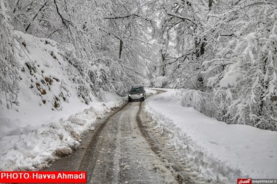 بارش نخستین برف سنگین زمستانی در سوادکوه