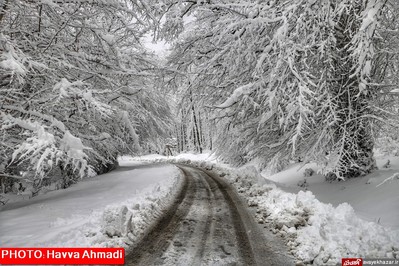 بارش نخستین برف سنگین زمستانی در سوادکوه