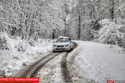 بارش نخستین برف سنگین زمستانی در سوادکوه