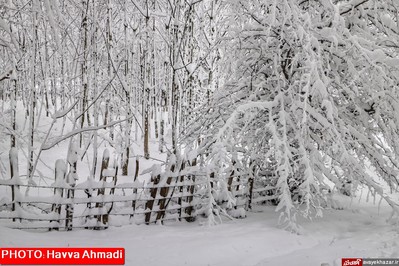 بارش نخستین برف سنگین زمستانی در سوادکوه