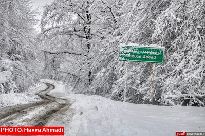 بارش نخستین برف سنگین زمستانی در سوادکوه