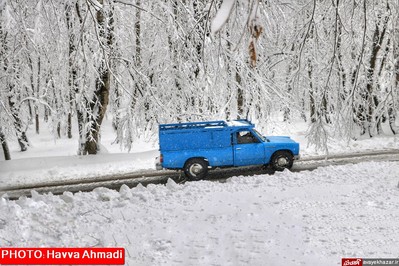 بارش نخستین برف سنگین زمستانی در سوادکوه