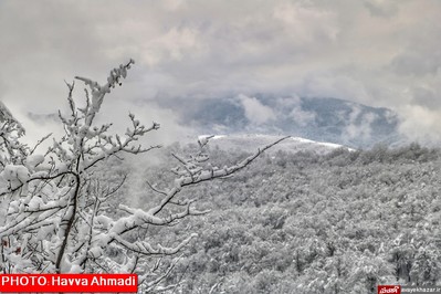 بارش نخستین برف سنگین زمستانی در سوادکوه