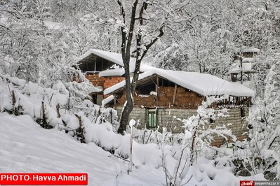 بارش نخستین برف سنگین زمستانی در سوادکوه