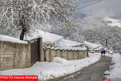 بارش نخستین برف سنگین زمستانی در سوادکوه