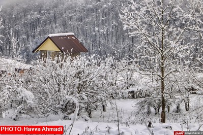 بارش نخستین برف سنگین زمستانی در سوادکوه