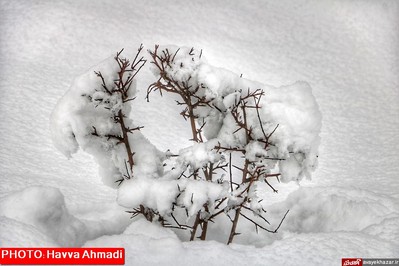 بارش نخستین برف سنگین زمستانی در سوادکوه