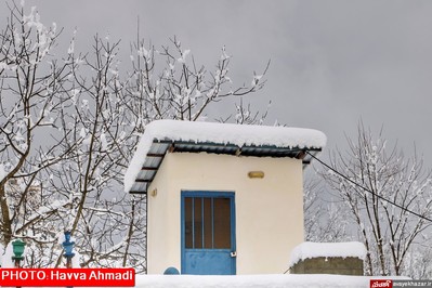 بارش نخستین برف سنگین زمستانی در سوادکوه