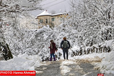 بارش نخستین برف سنگین زمستانی در سوادکوه