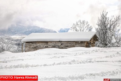 بارش نخستین برف سنگین زمستانی در سوادکوه