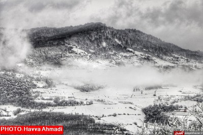 بارش نخستین برف سنگین زمستانی در سوادکوه