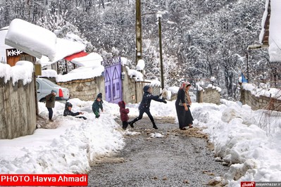 بارش نخستین برف سنگین زمستانی در سوادکوه