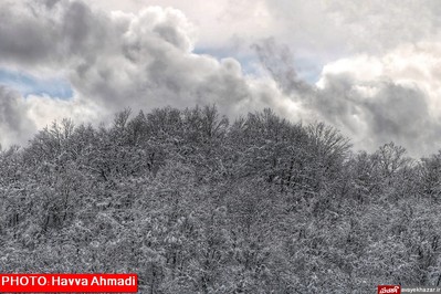 بارش نخستین برف سنگین زمستانی در سوادکوه