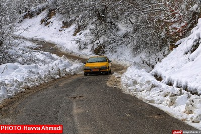 بارش نخستین برف سنگین زمستانی در سوادکوه