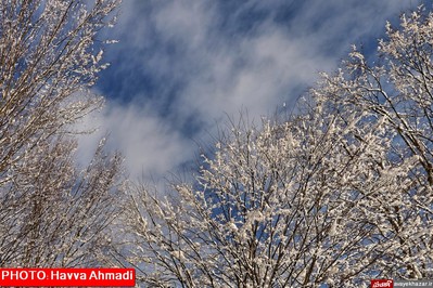 بارش نخستین برف سنگین زمستانی در سوادکوه