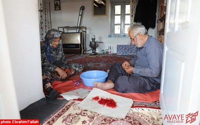 برداشت زعفران در روستای بندرج دودانگه ی ساری