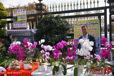 همایش ملی فرصت های سرمایه گذاری مازندران