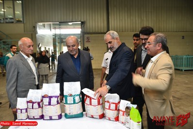 سفر نیم روزه استاندار مازندران به مهد کشتی ایران
