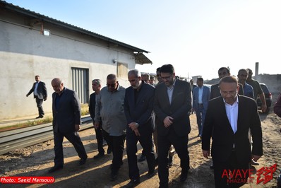 سفر نیم روزه استاندار مازندران به مهد کشتی ایران