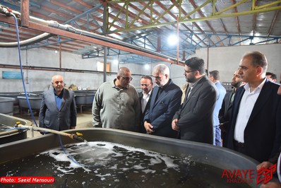 سفر نیم روزه استاندار مازندران به مهد کشتی ایران