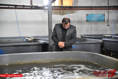 سفر نیم روزه استاندار مازندران به مهد کشتی ایران