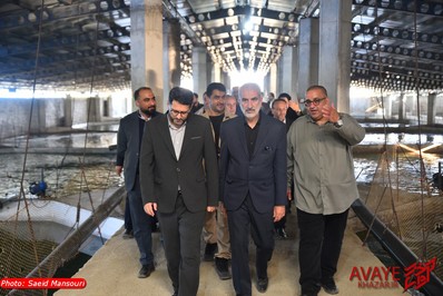 سفر نیم روزه استاندار مازندران به مهد کشتی ایران