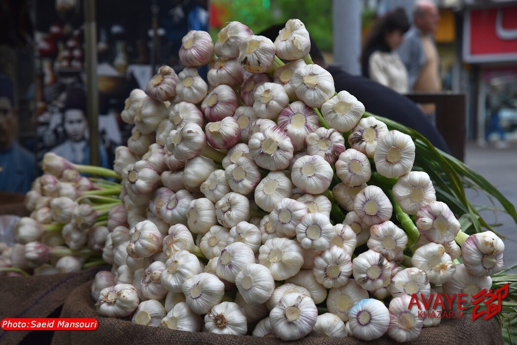گوشه‌هایی از بازار سنتی رشت و میدان شهرداری در یک روز سرد بهاری